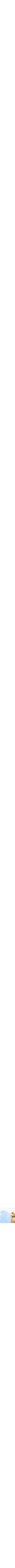 Assorti