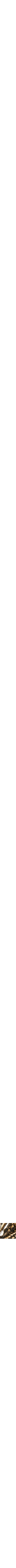 Assorti