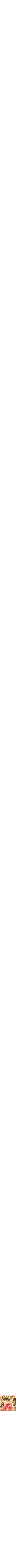 Orange à motifs