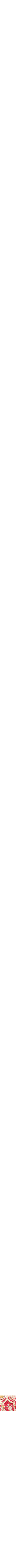 Orange à motifs