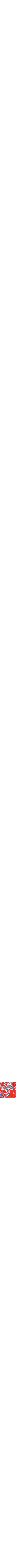 Rouge à motifs