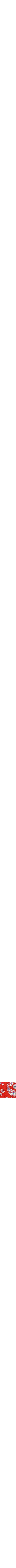 Rouge à motifs