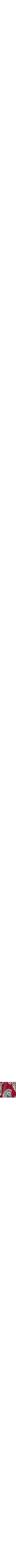 Rouge à motifs