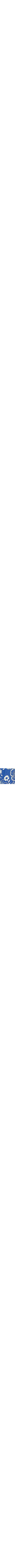 Patterned Blue