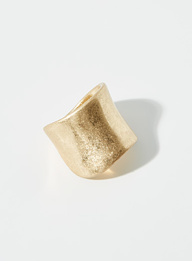 La grande bague fini bross&eacute;