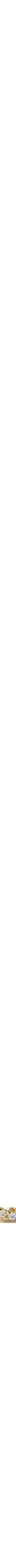 Assorti