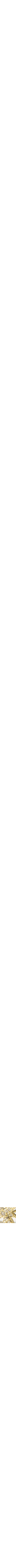 Assorti