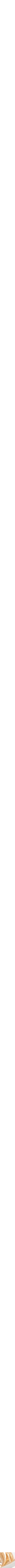 Assorti