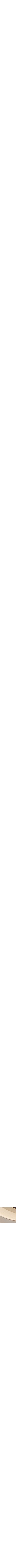 Assorti