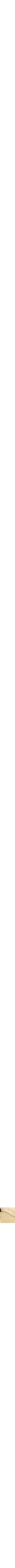 Assorti
