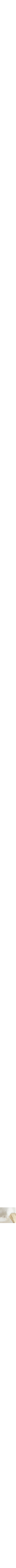 Assorti