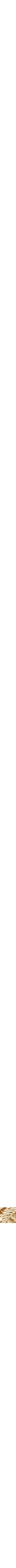 Assorti