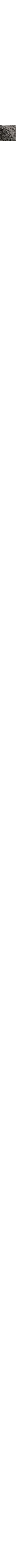 Gris à motifs