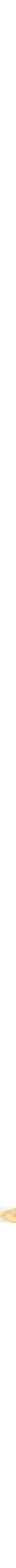 Assorti