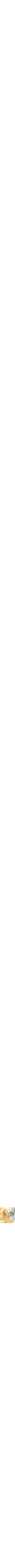 Assorti