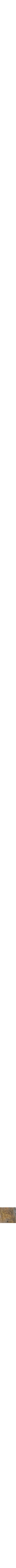 Assorti