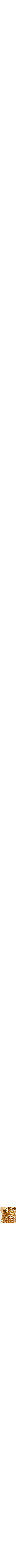 Assorti