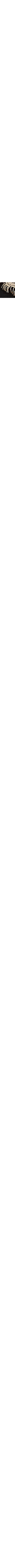 Blanc et noir