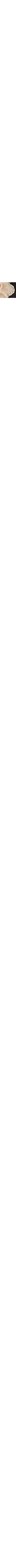 Blanc et noir