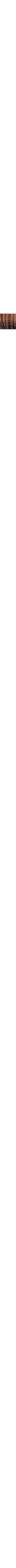 Brun à motifs