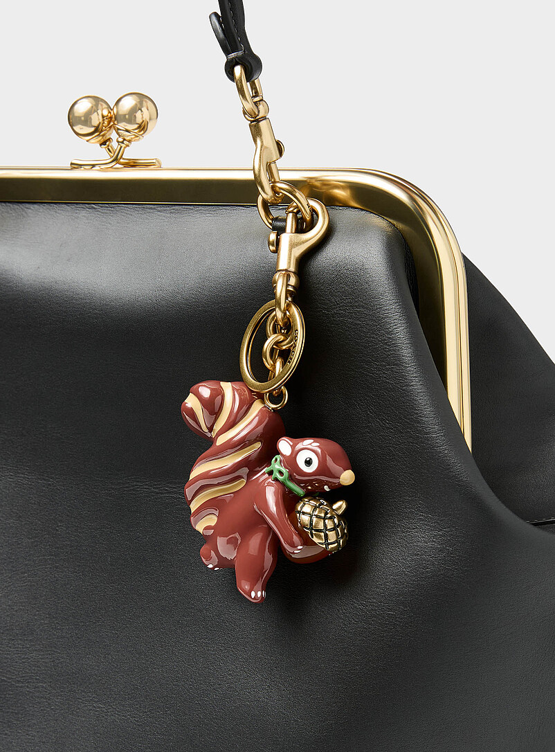 Hungry squirrel charm key holder product image (primary)
