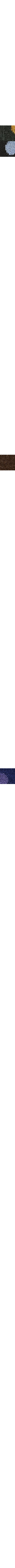 Brun à motifs