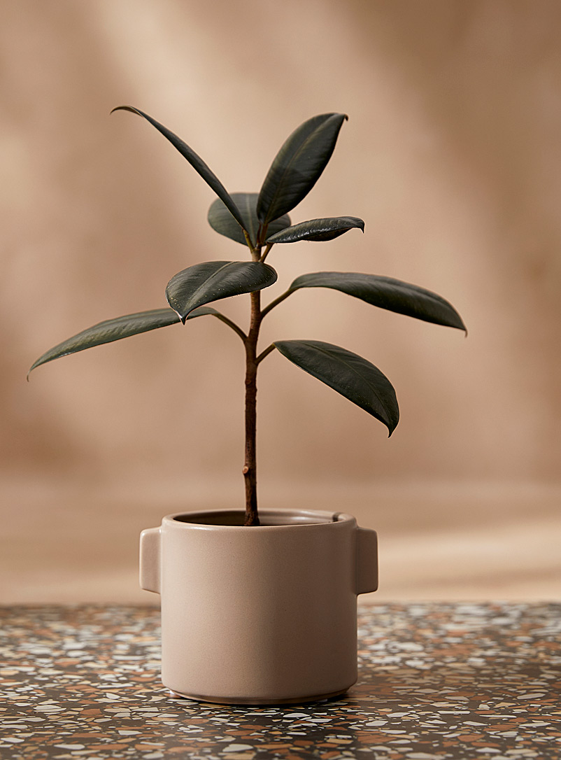 Simons Maison Ecru/Linen Small handles sandy planter 3.75 in
