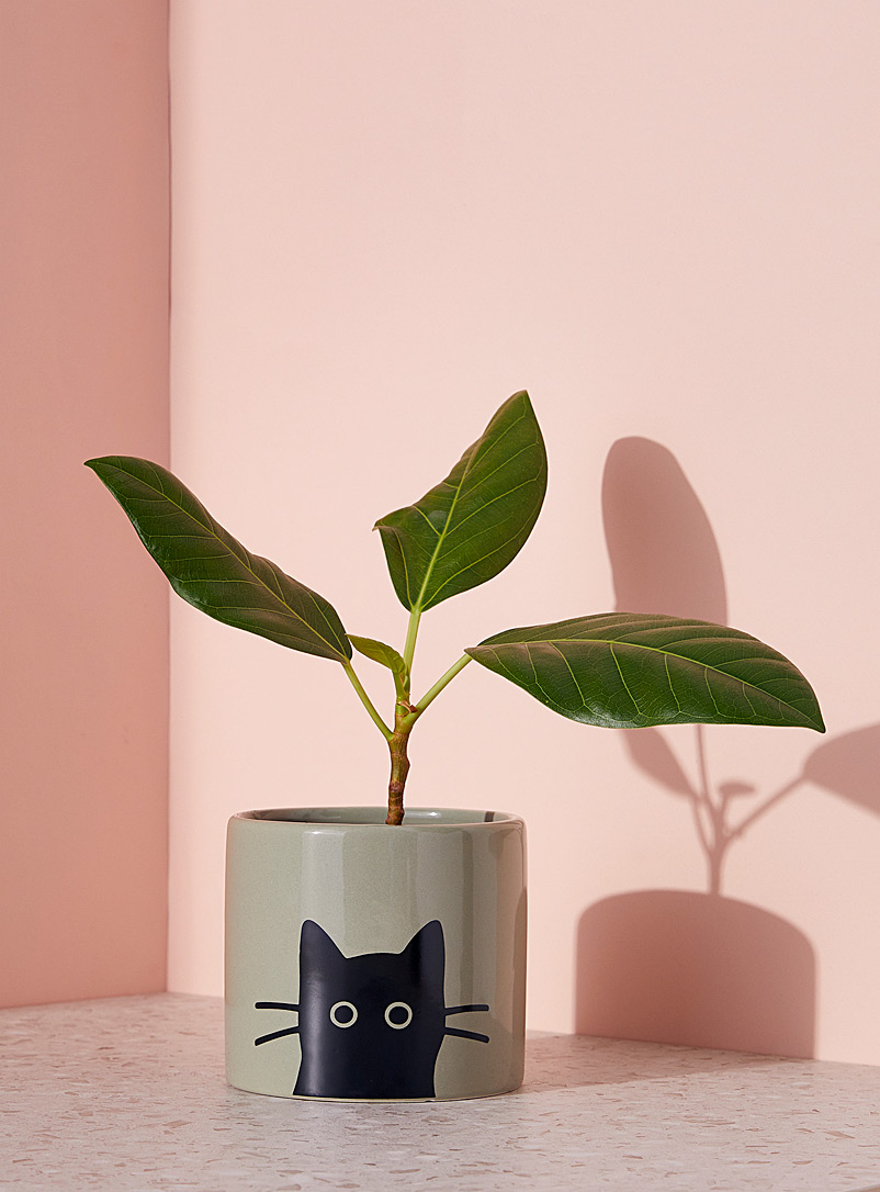 Simons Maison Green Black cat planter 4.25 in