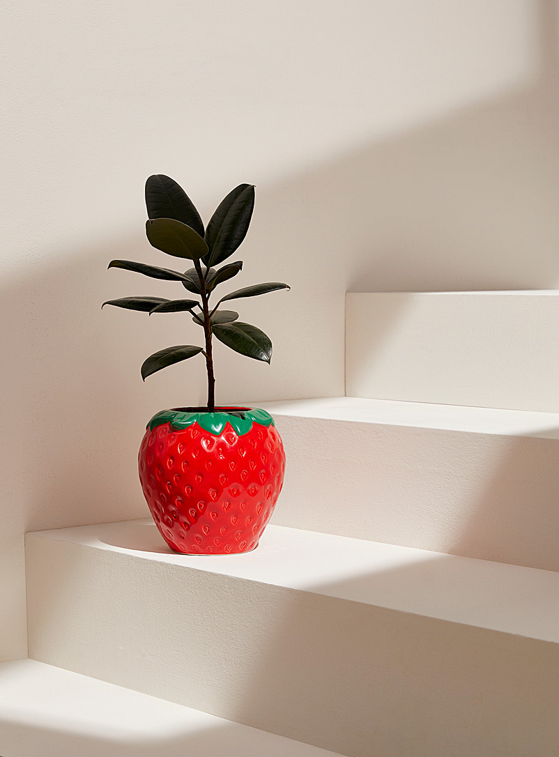Simons Maison Red Strawberry planter 4 in