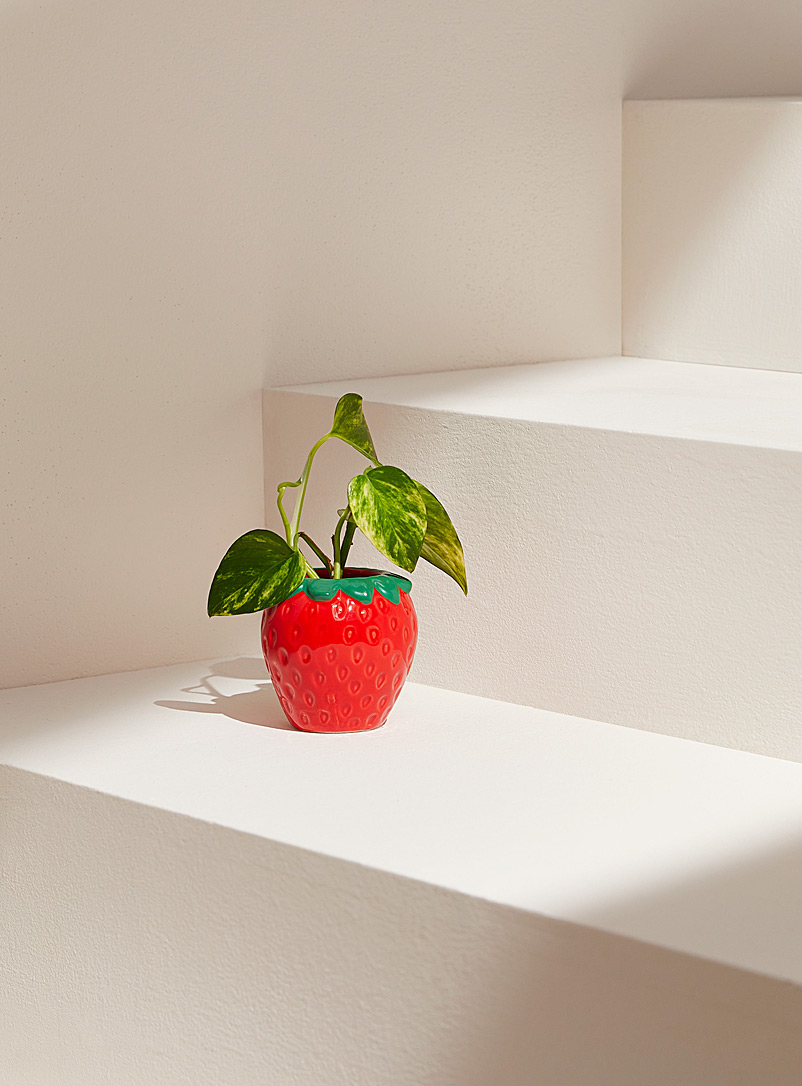 Simons Maison: Le petit cache-pot fraise 1,5 po Rouge