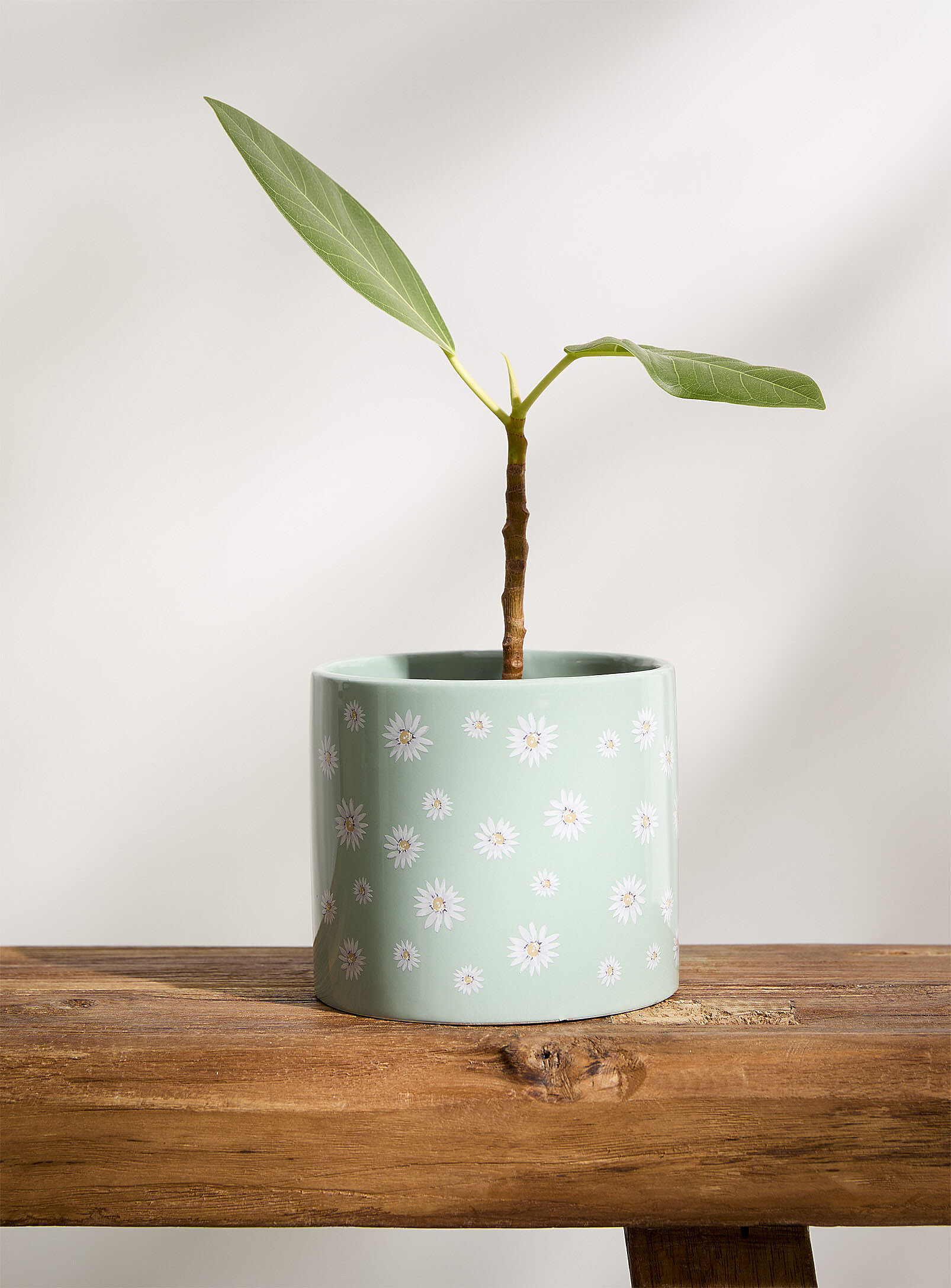 Simons Maison Daisies Planter 4.5 In In Mint/pistachio Green | ModeSens