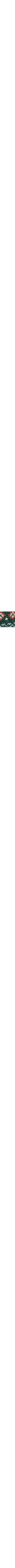 Vert à motifs