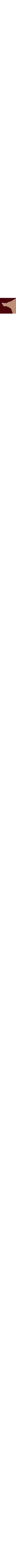 Blanc à motifs