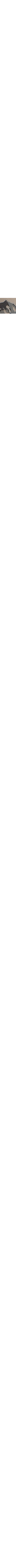 Blanc à motifs