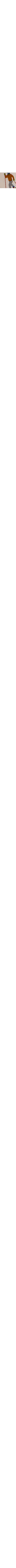 Patterned Cream