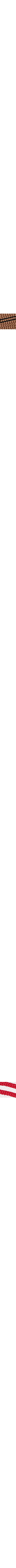 Rouge à motifs