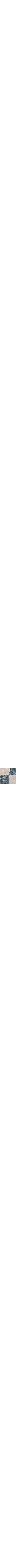Bleu à motifs