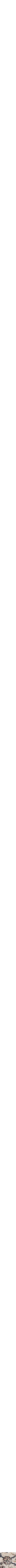 Assorti