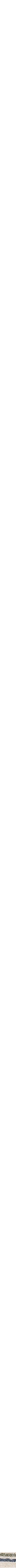 Assorti