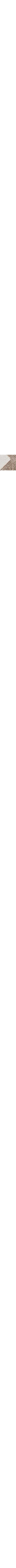 Brun à motifs