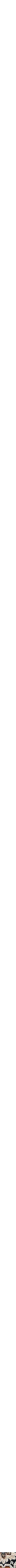 Assorti