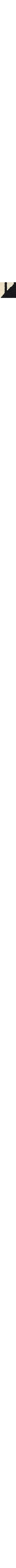Blanc et noir
