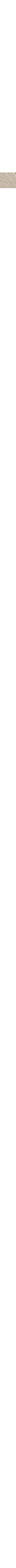 Blanc cassé