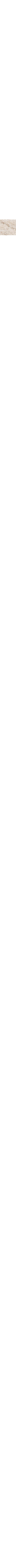 Ecru/Linen