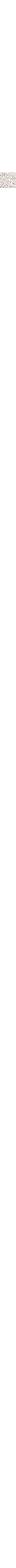 Blanc cassé