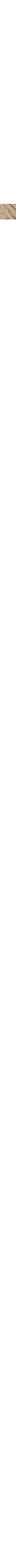 Beige - Grège