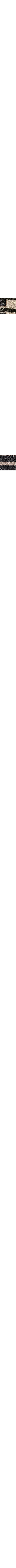 Brun à motifs