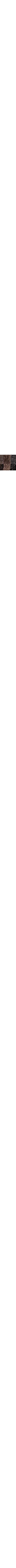 Brun à motifs
