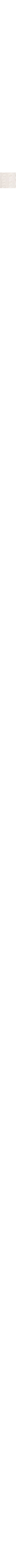 Blanc cassé