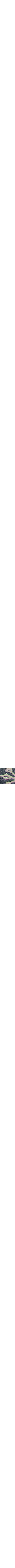 Bleu à motifs